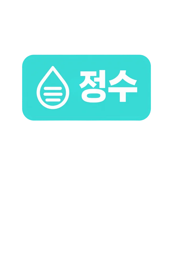 정수